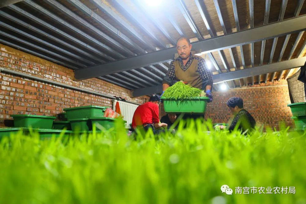 6微信图片_20230213164733.jpg