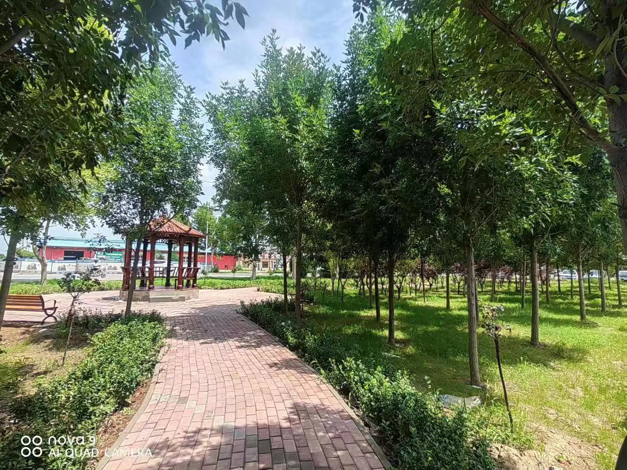 微信图片_20230629092823.jpg